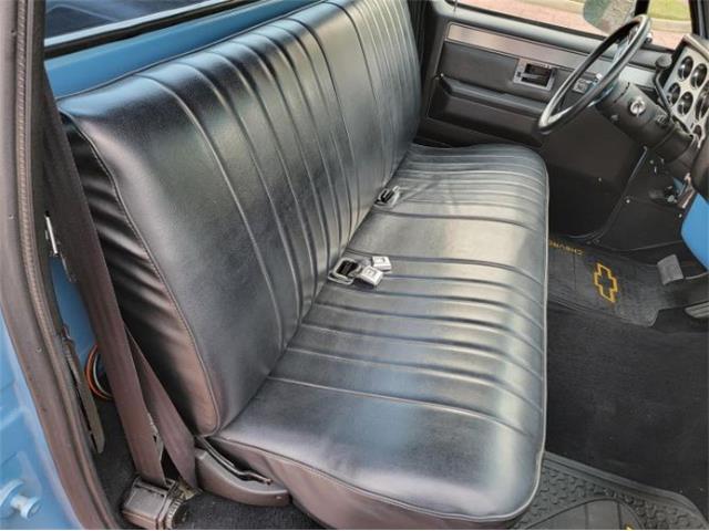 1984 Chevrolet C10 (CC-2112669) for sale in Cadillac, Michigan