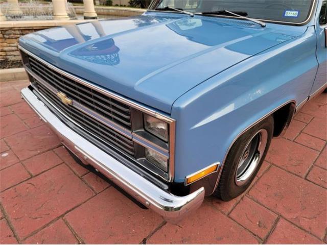 1984 Chevrolet C10 (CC-2112669) for sale in Cadillac, Michigan