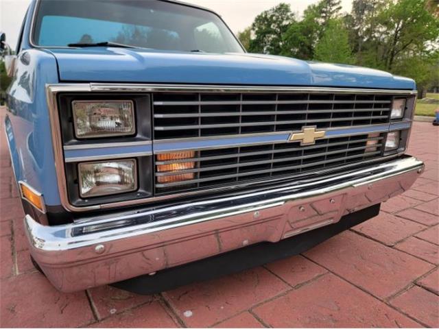 1984 Chevrolet C10 (CC-2112669) for sale in Cadillac, Michigan
