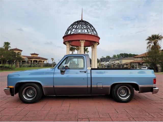 1984 Chevrolet C10 (CC-2112669) for sale in Cadillac, Michigan