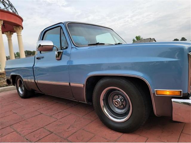 1984 Chevrolet C10 (CC-2112669) for sale in Cadillac, Michigan
