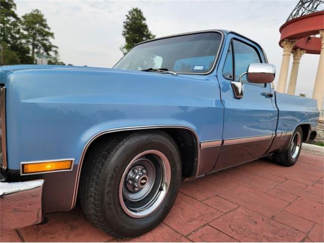 1984 Chevrolet C10 (CC-2112669) for sale in Cadillac, Michigan