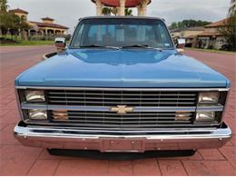 1984 Chevrolet C10 (CC-2112669) for sale in Cadillac, Michigan