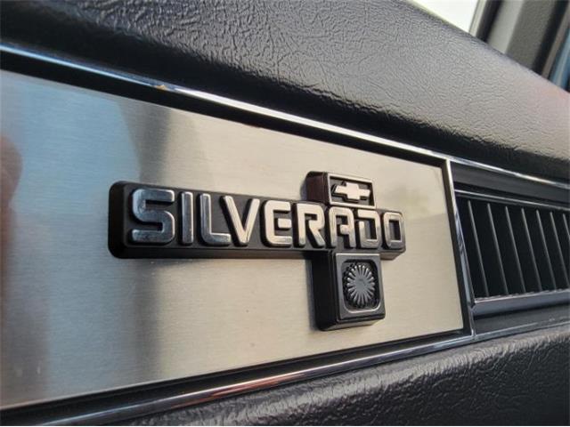 1984 Chevrolet C10 (CC-2112669) for sale in Cadillac, Michigan