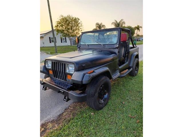 1988 Jeep Wrangler (CC-2112681) for sale in Cadillac, Michigan