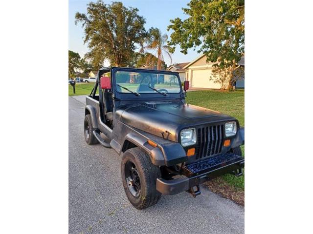 1988 Jeep Wrangler (CC-2112681) for sale in Cadillac, Michigan