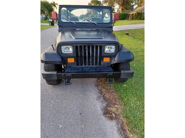 1988 Jeep Wrangler (CC-2112681) for sale in Cadillac, Michigan