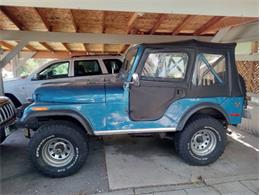 1976 Jeep CJ5 (CC-2112684) for sale in Cadillac, Michigan