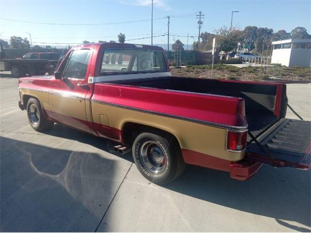 1979 Chevrolet Cheyenne (CC-2112693) for sale in Cadillac, Michigan