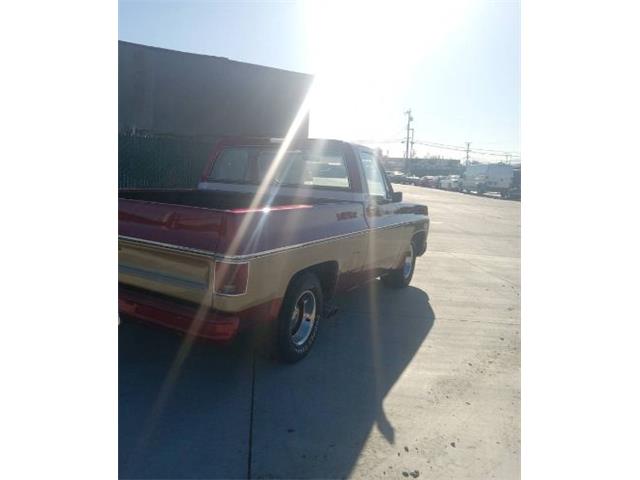 1979 Chevrolet Cheyenne (CC-2112693) for sale in Cadillac, Michigan