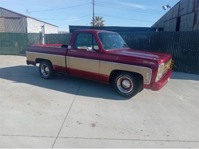 1979 Chevrolet Cheyenne (CC-2112693) for sale in Cadillac, Michigan
