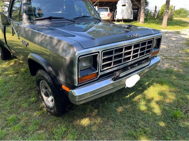 1984 Dodge Ram (CC-2112697) for sale in Cadillac, Michigan