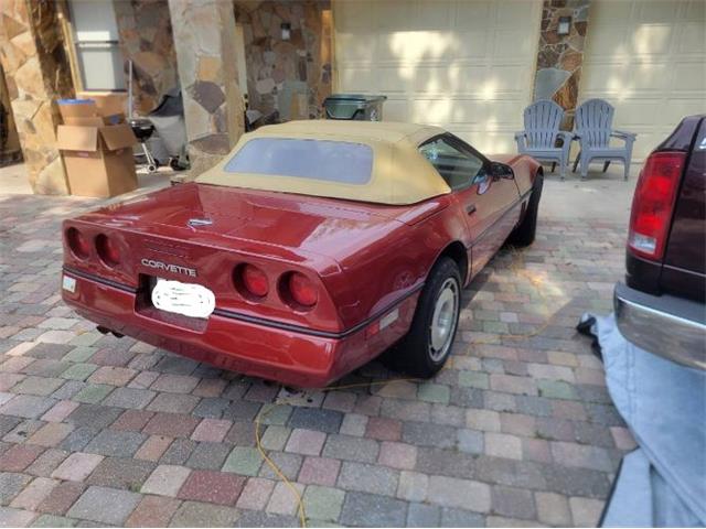 1988 Chevrolet Corvette (CC-2112699) for sale in Cadillac, Michigan