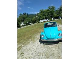 1973 Volkswagen Super Beetle (CC-2112718) for sale in Cadillac, Michigan