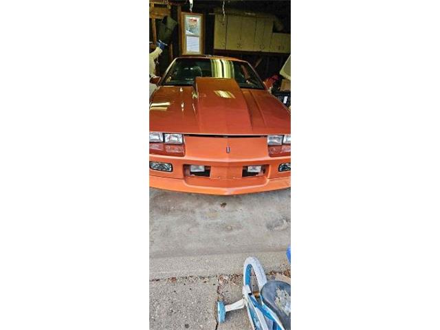1988 Chevrolet Camaro (CC-2112721) for sale in Cadillac, Michigan