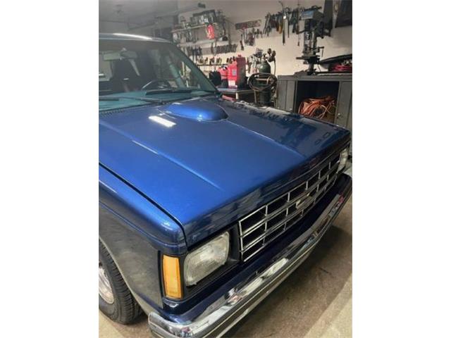 1985 Chevrolet S10 (CC-2112723) for sale in Cadillac, Michigan