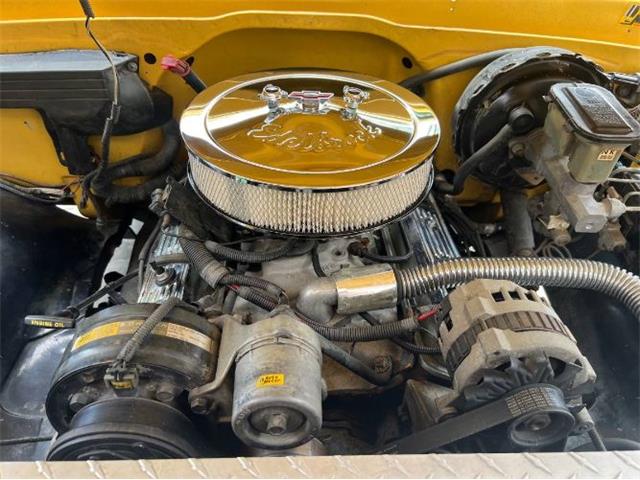 1970 Chevrolet C10 (CC-2112747) for sale in Cadillac, Michigan