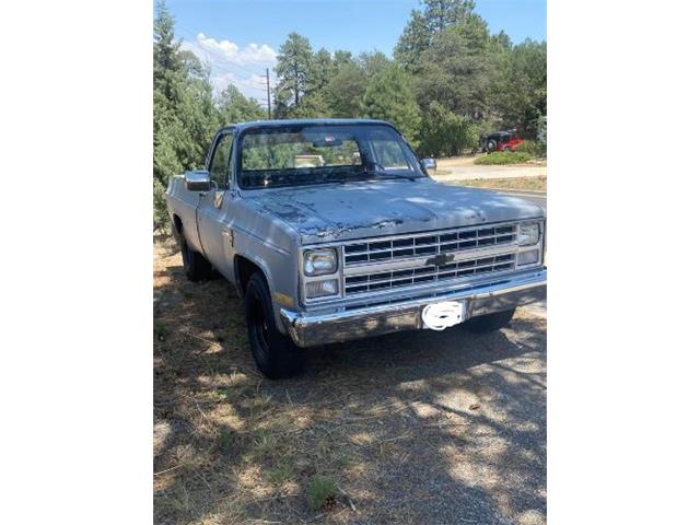 1985 Chevrolet Pickup (CC-2112751) for sale in Cadillac, Michigan