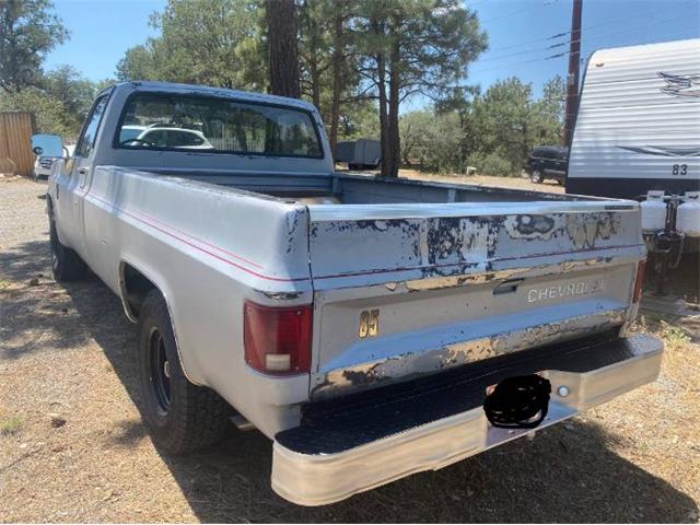 1985 Chevrolet Pickup (CC-2112751) for sale in Cadillac, Michigan