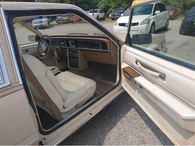 1981 Ford Thunderbird (CC-2112771) for sale in Cadillac, Michigan
