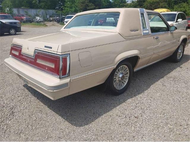 1981 Ford Thunderbird (CC-2112771) for sale in Cadillac, Michigan