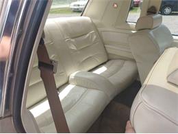 1981 Ford Thunderbird (CC-2112771) for sale in Cadillac, Michigan