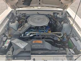 1981 Ford Thunderbird (CC-2112771) for sale in Cadillac, Michigan