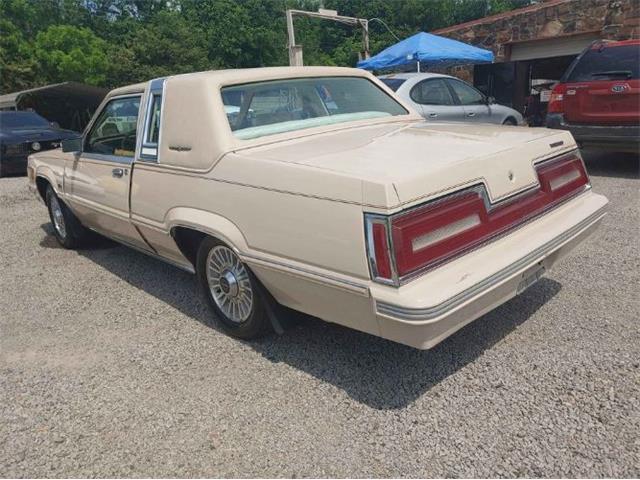 1981 Ford Thunderbird (CC-2112771) for sale in Cadillac, Michigan