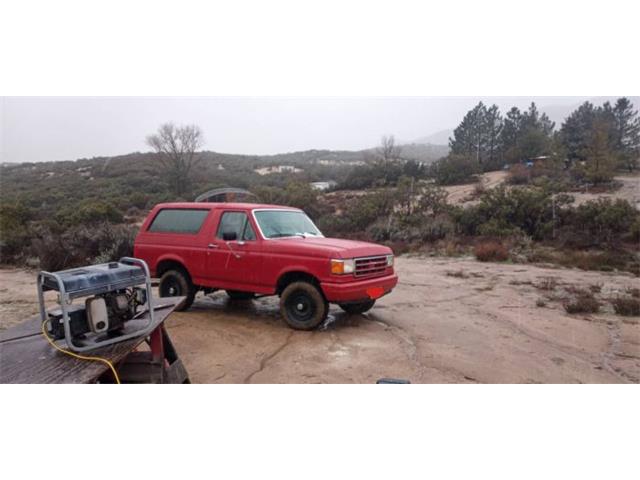 1987 Ford Bronco (CC-2112774) for sale in Cadillac, Michigan