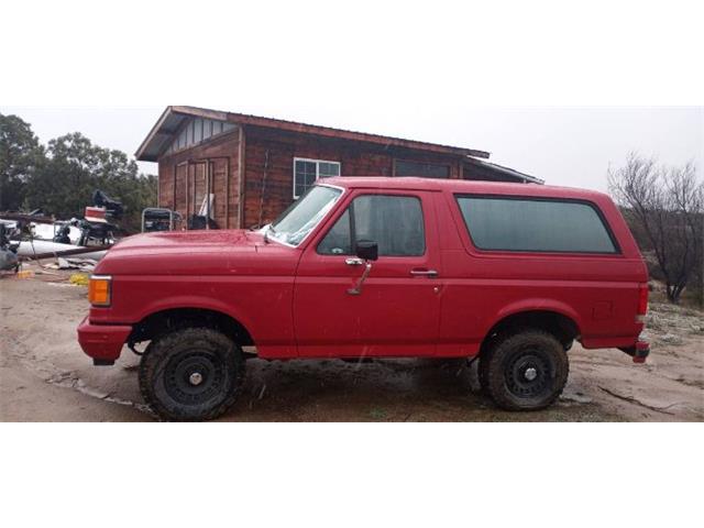 1987 Ford Bronco (CC-2112774) for sale in Cadillac, Michigan