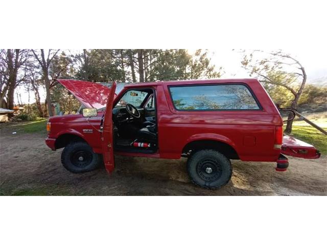 1987 Ford Bronco (CC-2112774) for sale in Cadillac, Michigan