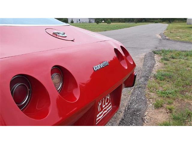 1978 Chevrolet Corvette (CC-2112793) for sale in Cadillac, Michigan