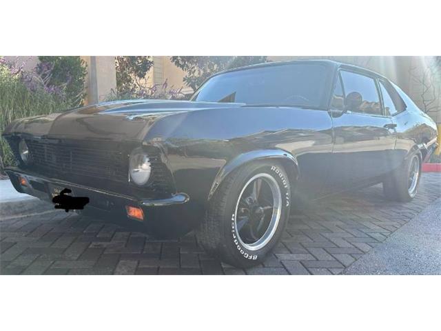 1969 Chevrolet Nova (CC-2112801) for sale in Cadillac, Michigan
