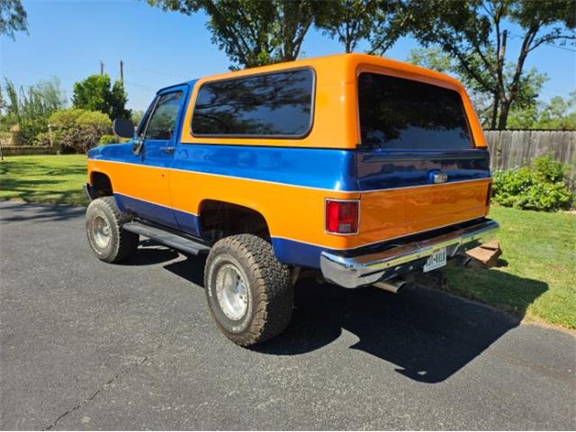1989 Chevrolet Blazer (CC-2112804) for sale in Cadillac, Michigan