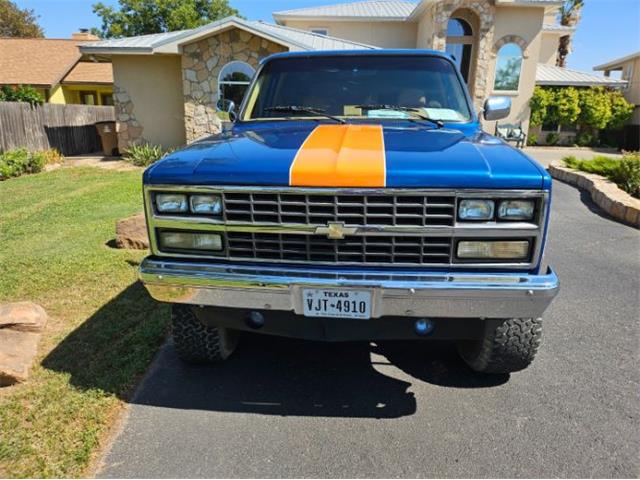 1989 Chevrolet Blazer (CC-2112804) for sale in Cadillac, Michigan