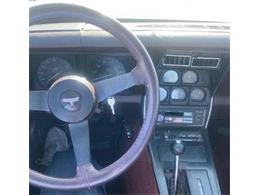 1980 Chevrolet Corvette (CC-2112817) for sale in Cadillac, Michigan
