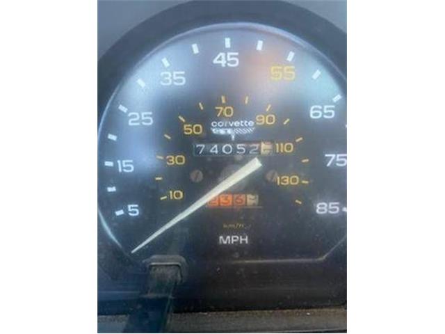 1980 Chevrolet Corvette (CC-2112817) for sale in Cadillac, Michigan