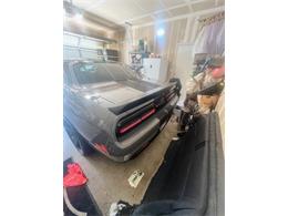 2017 Dodge Challenger (CC-2112829) for sale in Cadillac, Michigan