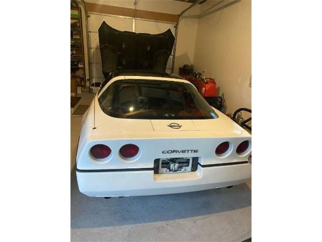 1984 Chevrolet Corvette (CC-2110284) for sale in Cadillac, Michigan