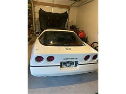 1984 Chevrolet Corvette (CC-2110284) for sale in Cadillac, Michigan