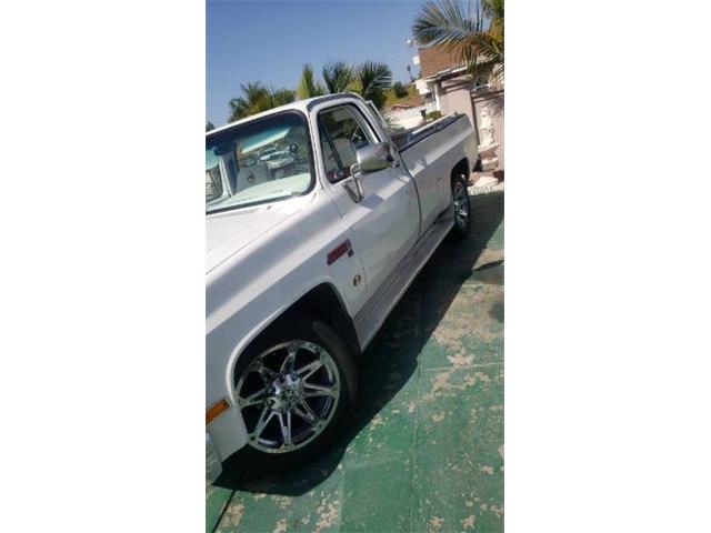 1983 GMC Sierra (CC-2112840) for sale in Cadillac, Michigan