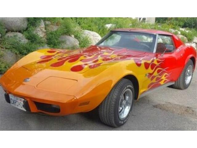 1975 Chevrolet Corvette (CC-2112847) for sale in Cadillac, Michigan