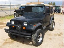 1994 Jeep Wrangler (CC-2112856) for sale in Cadillac, Michigan