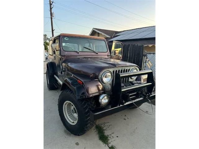 1983 Jeep Wrangler (CC-2112858) for sale in Cadillac, Michigan