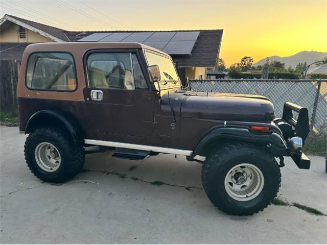 1983 Jeep Wrangler (CC-2112858) for sale in Cadillac, Michigan