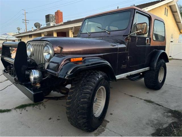 1983 Jeep Wrangler (CC-2112858) for sale in Cadillac, Michigan
