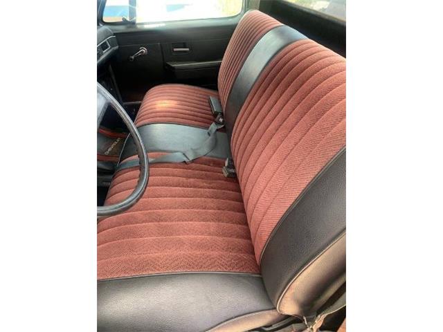 1981 Chevrolet C10 (CC-2112862) for sale in Cadillac, Michigan