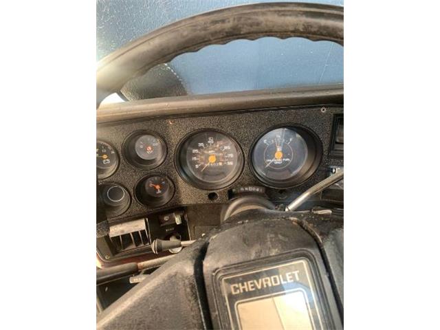 1981 Chevrolet C10 (CC-2112862) for sale in Cadillac, Michigan