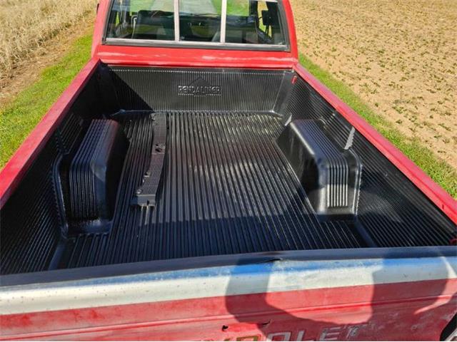 1983 Chevrolet S10 (CC-2112874) for sale in Cadillac, Michigan