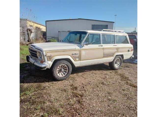 1987 Jeep Grand Wagoneer (CC-2112882) for sale in Cadillac, Michigan